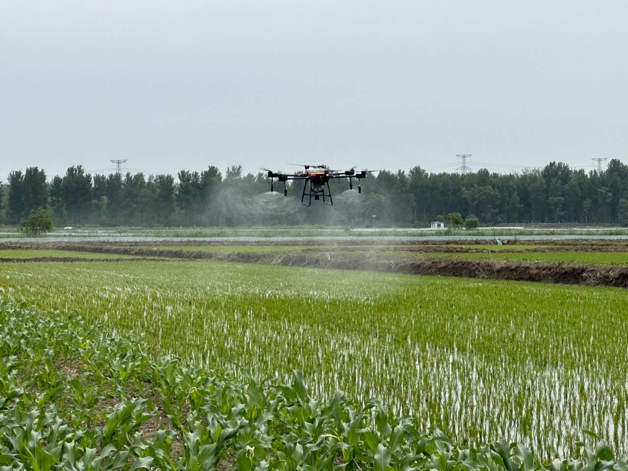 Pesticide Sprayer Drone