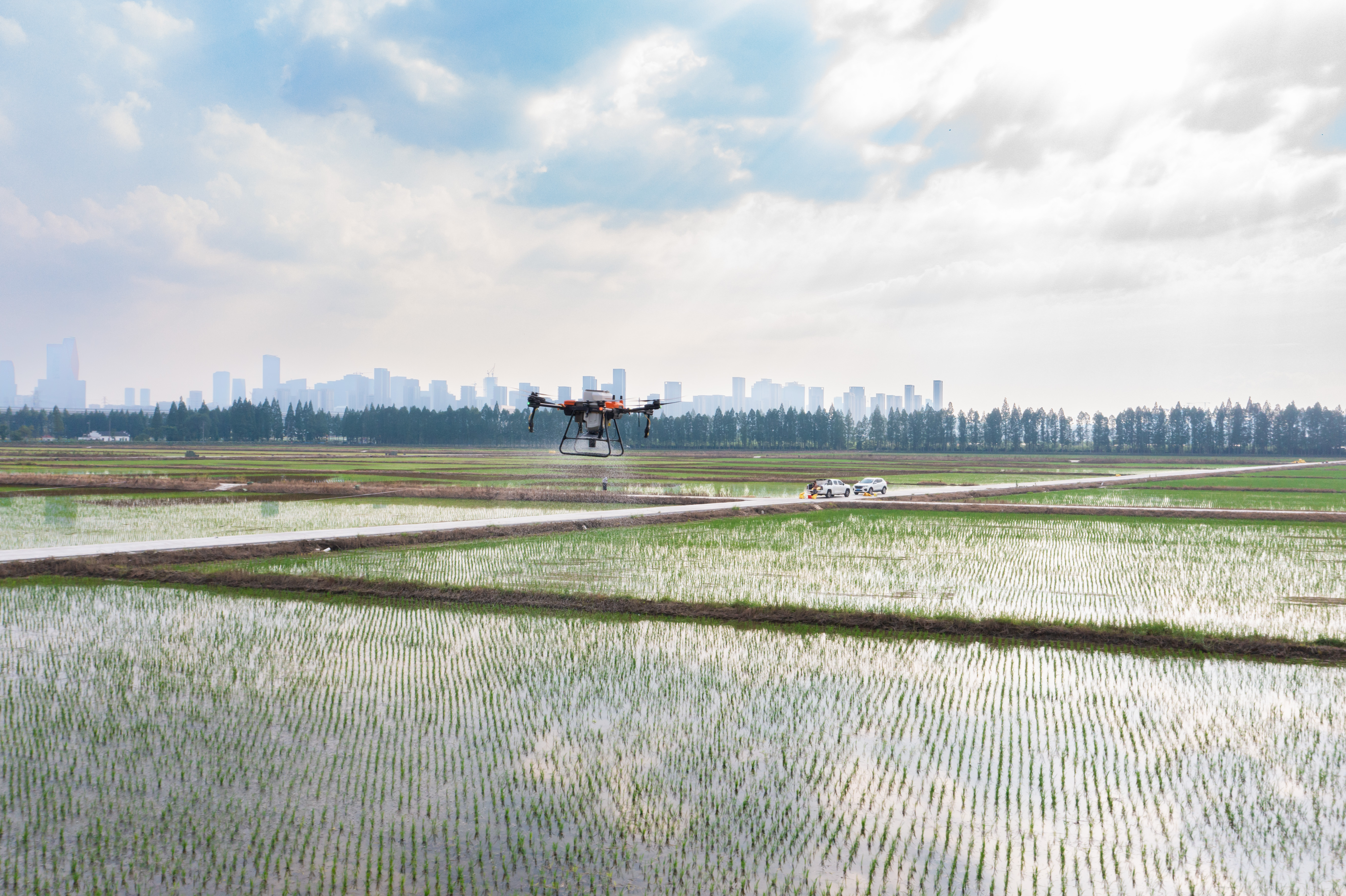 Exploring the Applications of Drones for Spraying Crops